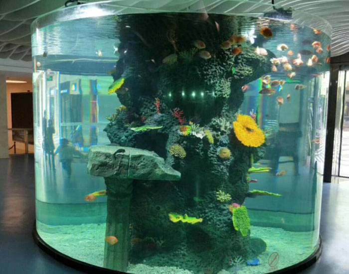 展示、觀賞魚缸